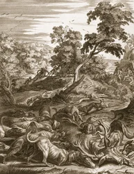 Actaeon wird in einen Hirsch verwandelt und von seinen Hunden verschlungen, 1731