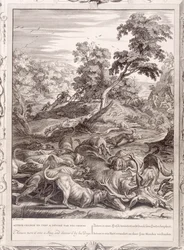 Actaeon wird in einen Hirsch verwandelt und von seinen Hunden verschlungen, 1731
