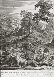 Actaeon wird in einen Hirsch verwandelt und von seinen Hunden verschlungen, 1731