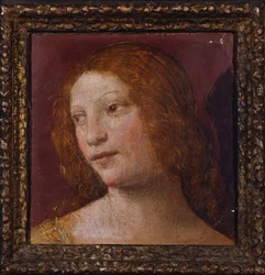 Der Kopf eines Engels - ein Fragment