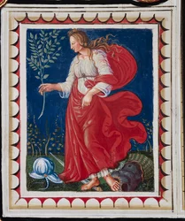 Die Piccolomini-Bibliothek, die Decke, Panel mit Allegorie des Friedens, Fresko von Bernardino di Betto, bekannt als Pinturicchio