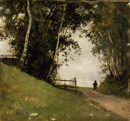 Landschaft mit Birken
