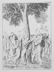 Dantes Göttliche Komödie, Purgatorio (Fegefeuer), Platte XXXIII