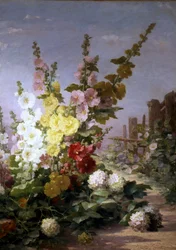 Sommerblumen mit Stockrosen und Hortensien