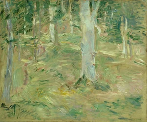 Wald von Compiègne, 1885