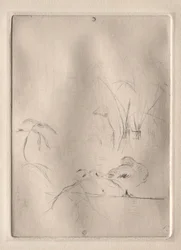 Die Ente