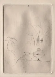 Die Ente, 1888-90
