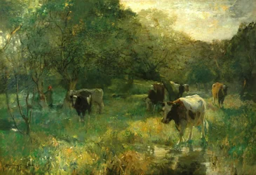 Talweide, Marschwiesen