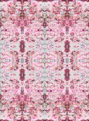 Burgunderrose