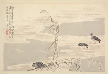 Album der Kalligraphie und Malerei