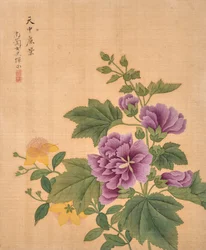 Blumenalbum