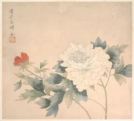 Blumenstudie