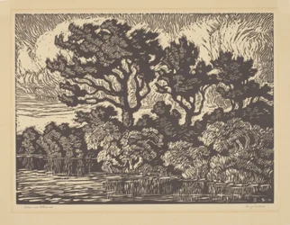 Weide und Pappel, um 1931
