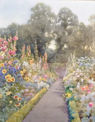 Gartenweg mit Stockrosen und Mohnblumen