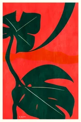 Monstera Dschungelblätter