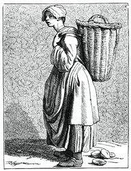 Austern in der Schale!, 1737-1742