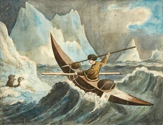 Die Robbenjagd