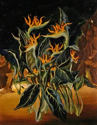 Seltsame Blumen
