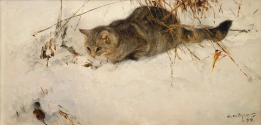Eine Katze, die eine Maus im Schnee verfolgt