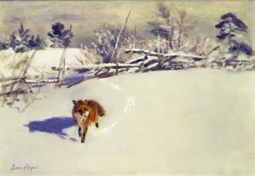 Ein Fuchs im Schnee