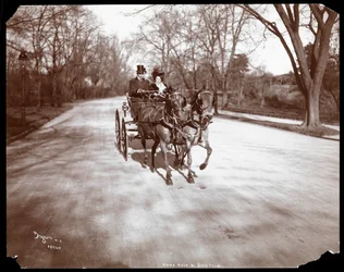 Anna Held und Florenz Ziegfeld fahren in einer Pferdekutsche, New York, 1904