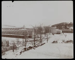 Die Gewächshäuser im Schnee auf dem Anwesen von Helen Gould (ehemaliger Wohnsitz von Jay Gould) in Tarrytown, New York, 1894