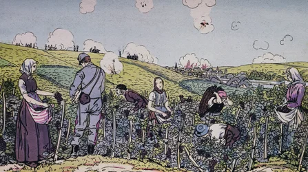 Unsere Winzer ernteten unter Beschuss, die Weinlese in der Champagne im Jahr 1914, Erster Weltkrieg, Frankreich, 20. Jahrhundert