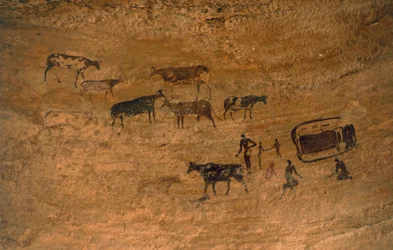 Szene des täglichen Lebens mit Vieh, Felskunst, Tassili n