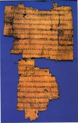 Kallimachos, Coma Berenices, Papyrus