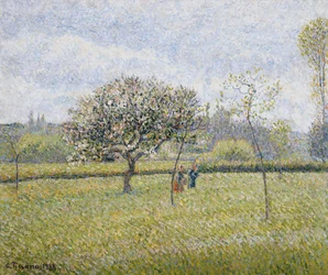 Apfelbaum in Blüte in Eragny, 1888
