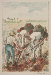 Der Pflug, 1901