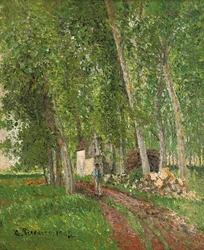 Unterholz in Moret