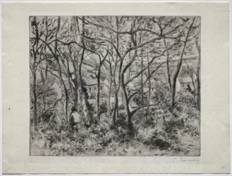 Waldlandschaft bei L