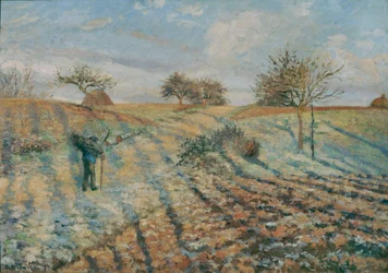 Gelee blanche (Reif)