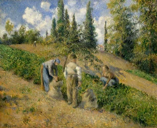 Die Ernte, Pontoise