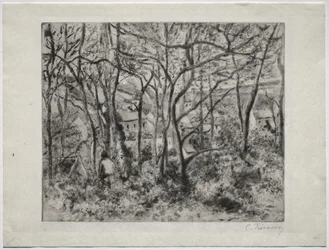Waldlandschaft bei L