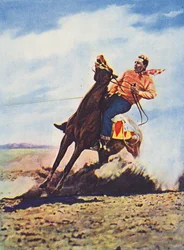 Cowboy bringt sein Pferd schnell zum Stehen