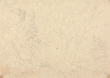 Holne Chase, 30. Mai 1833