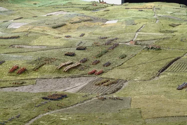 Diorama der Schlacht von Waterloo, das Truppen zeigt, die um 19.45 Uhr am 18. Juni 1815 positioniert sind (Detail)