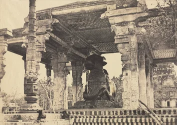 Große Pagode, Großer Stier, Vorderansicht, Tanjore, Indien (Rajarajesvara-Tempel)