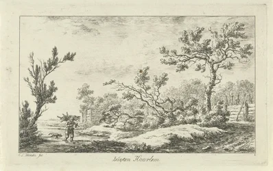 Holzsammler