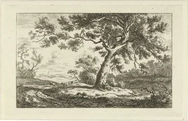 Rastender Hirte