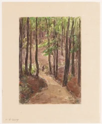 Waldweg durch die Hügel von Baden-Baden