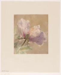 Verwelkte Rose