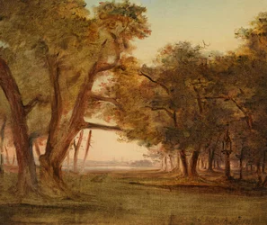 Waldlandschaft bei Morgenstimmung