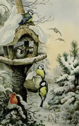 Wintervogeltisch mit Blaumeisen, Kohlmeisen, Haussperlingen und einem Rotkehlchen