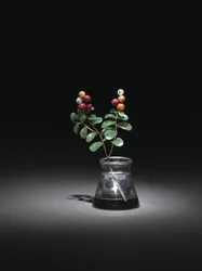 Cranberry, späte 1800er - frühe 1900er Jahre