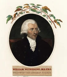Porträt von William Withering, Arzt und Botaniker