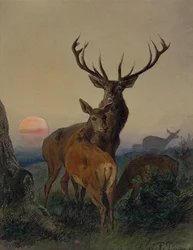 Ein Hirsch mit einem Reh in einer bewaldeten Landschaft bei Sonnenuntergang