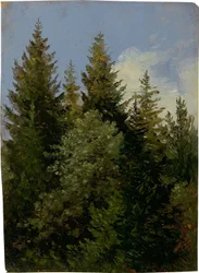 Tannen